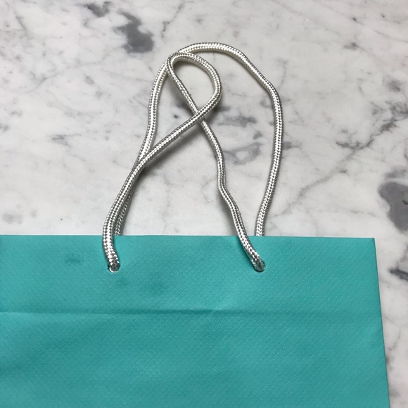 Tiffany & Co. Decorative Gift Bag Closet Decor - Picture 4 of 6